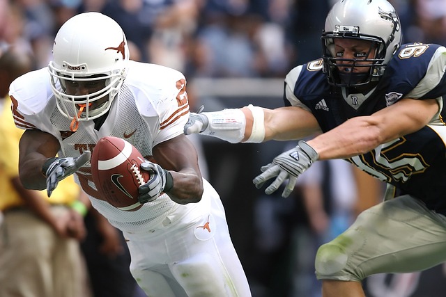 的最大亮点 的最大亮点