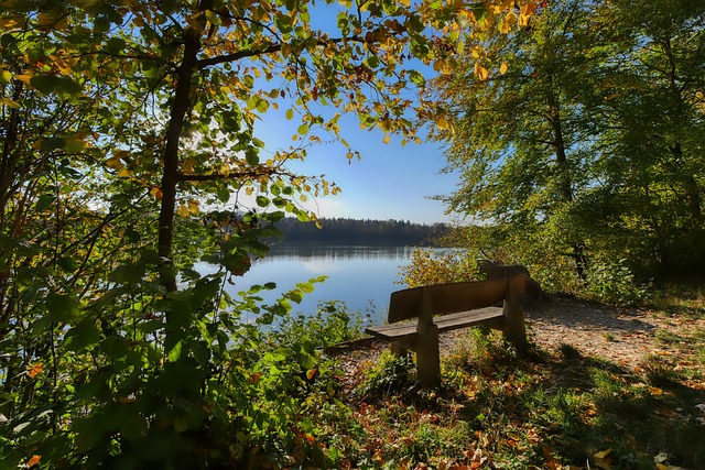 巴西这样的 巴西这样的