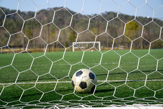 数据统计 数据统计