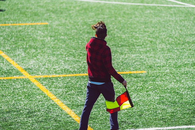 年来的整体 年来的整体