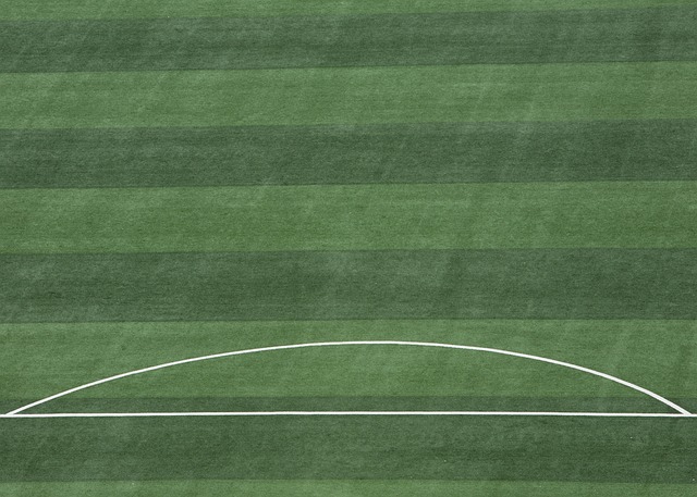 西蒙尼教练 西蒙尼教练