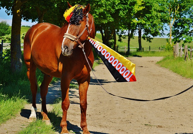 个篮板和 个篮板和